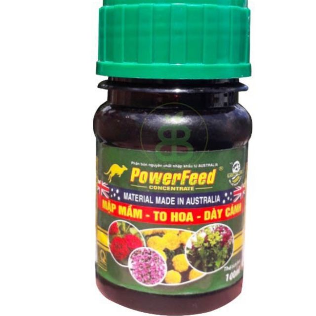 Powerfeed - Mập Mầm, To Hoa, Dày Cánh