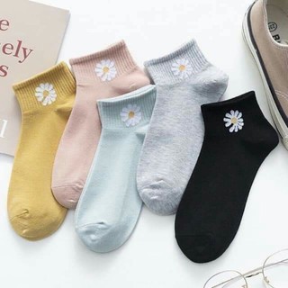 Set 10 đôi tất hoa cúc hottrend
