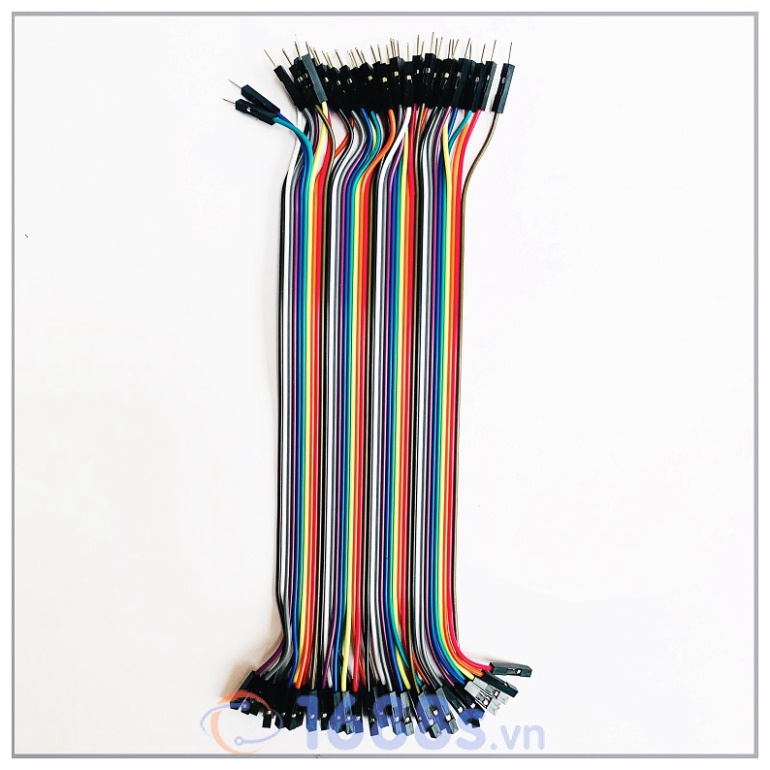 Dây Cắm ( Bus) Test Board ( 40 sợi 1 bus) - 1688s.vn