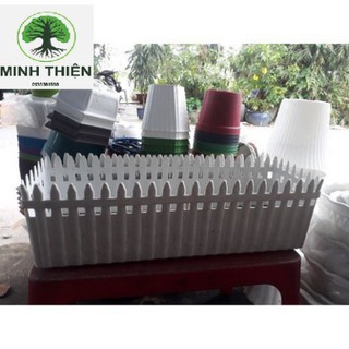 (SIÊU KHUYẾN MÃI) Combo 5 Chậu hàng rào lớn 60cmx18cmx21cm