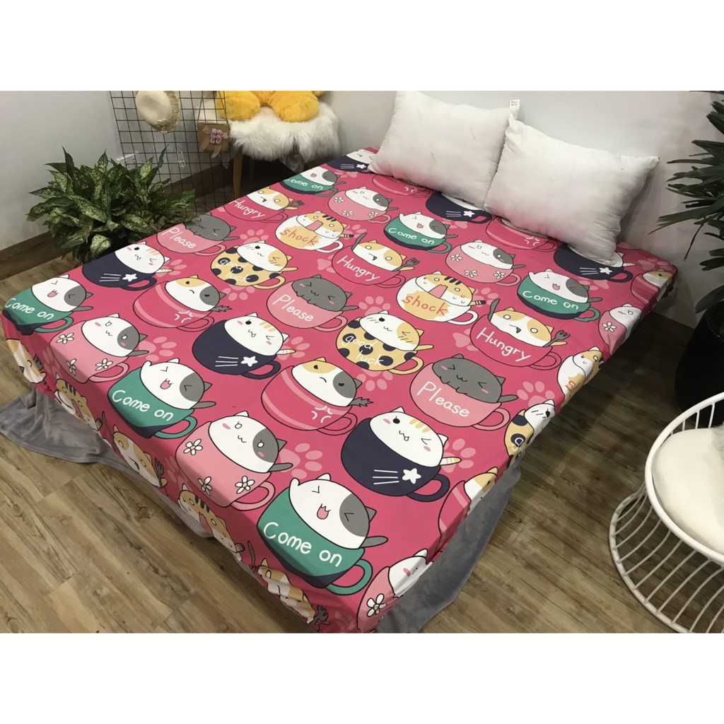 Ga Chống Thấm Cotton Hàn Quốc Mèo Hoạt Hình CTT9