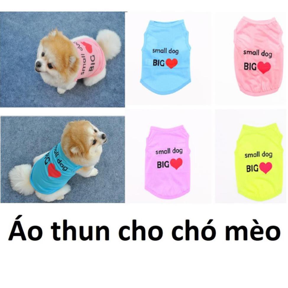 HN- Áo thun chó mèo hình tim loại áo mùa hè không tay Small Dog Big love