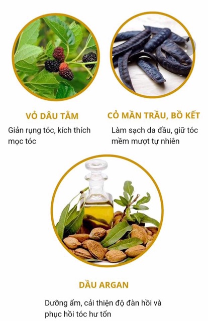 Dầu gội NatureQueen 100ml