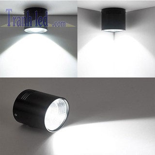 Đèn ống bơ CS 12W - Đèn downlight lắp nổi 12W cao cấp tiện dụng