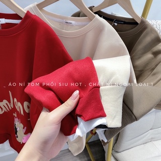Áo nỉ về 3 màu