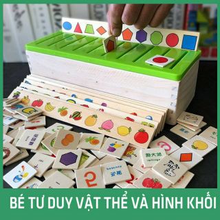 Bộ thả hình tư duy Montessori bằng gỗ