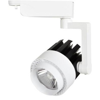ĐÈN LED THANH RAY CHIẾU ĐIỂM CÔNG SUẤT 20-30W Q20, Q30