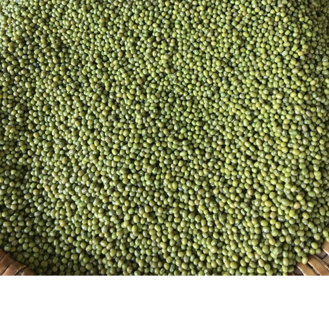 1kg đỗ con đỗ xanh làm giá đỗ giá rẻ