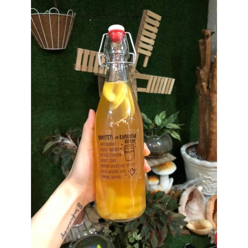 Chai thuỷ tinh nắp gài 500ml chuyên làm lên men F2 kombucha, water kefir