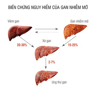 Trà giải độc gan