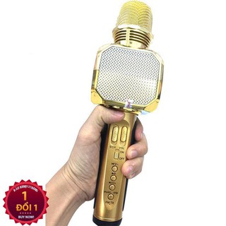 Micro Karaoke Bluetooth SD-10