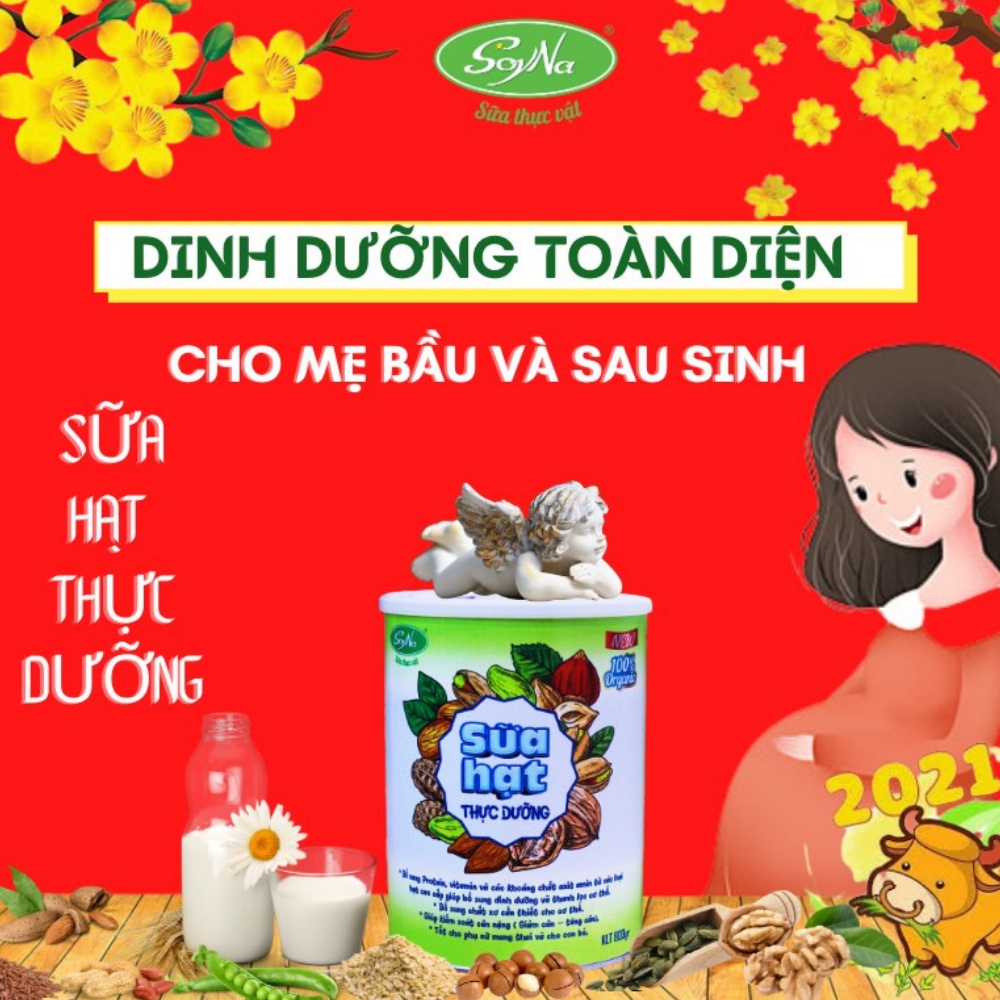 Ngũ Cốc Lợi Sữa, Giàu Dinh Dưỡng - Sữa Hạt Thực Dưỡng Soyna 800g - Sữa Cho Mẹ Bầu & Mẹ Sau Sinh Em Bé - Giấy Phép ATVSTP