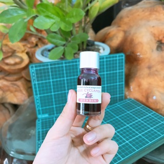 Mực Hebin 10ml màu tím, tím hồng siêu đẹp, bền màu, không lắng cặn