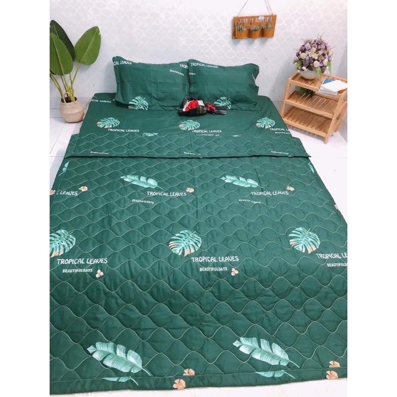 combo 1 set m6 5 món và 1 vỏ chăn