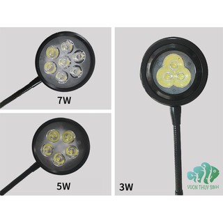 [FREE SHIP 50K] Đèn thuỷ sinh, tiểu cảnh mini (bao gồm đế gỗ)