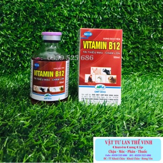 Vitamin B12 cho lan, cây cảnh Giải độc cây- Tái tạo tế bào mới