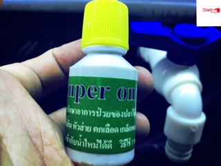 Supper one (dưỡng cá)
