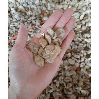 10 Hạt Sành (hạt Sang) Thái sẵn