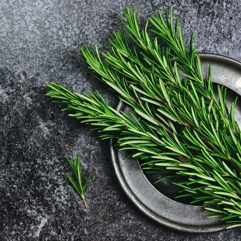 Lá hương thảo Ông Chà Và 15g (Rosemary)