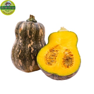 1Kg Bí Đỏ Hồ Lô