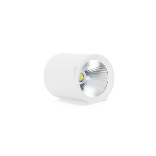 Đèn LED Ống Bơ Chiếu Rọi PERIDOT (OBR-SS Series) - KINGLED (Hàng Chính Hãng)
