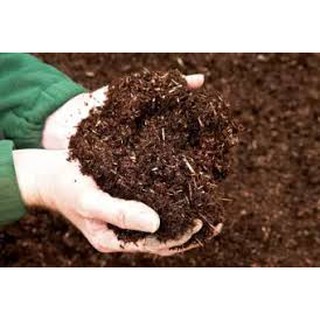 Hỗn hợp giá thể trồng rau sạch (phân bò, tro trấu, xơ dừa, trấu)