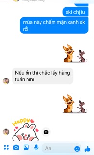 Muối chấm đặc sản Điện Biên