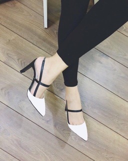 Giày gót nhọn 7p