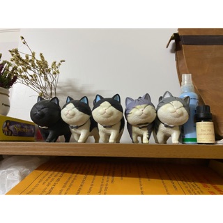 Lẻ mô hình mèo Munchkin