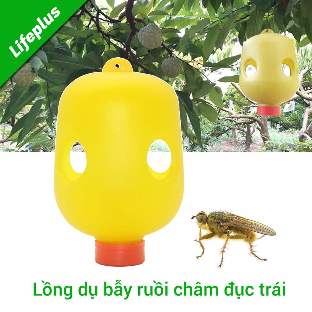 Bộ 5 Lồng dụ bẫy ruồi châm đục trái kèm 1 hộp (2 lọ) thuốc dụ diệt ruồi