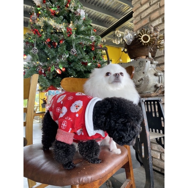 ÁO LEN NOEL CHO THÚ CƯNG