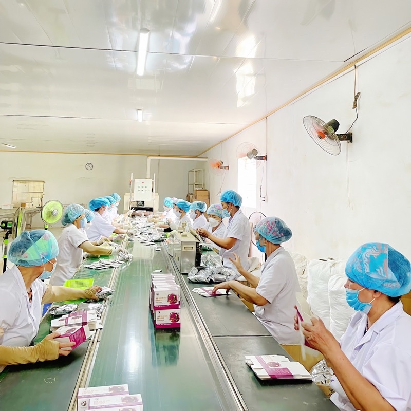 Trà Tía Tô Tím Collagen Mờ Nám Đẹp da Om Sapa 105gr