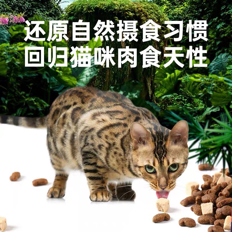 Hạt thức ăn WANPY thêm Cá Hồi/Thịt Gà Đông Khô Cho Mèo
