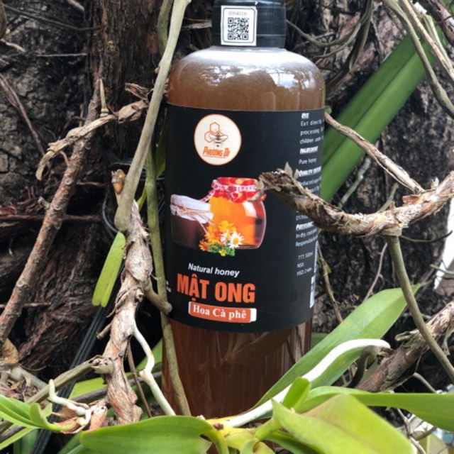 MẬT ONG HOA CÀ PHÊ 🍯🌼🐝