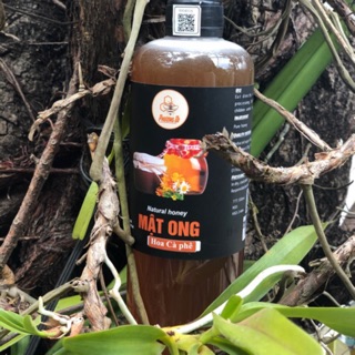 Mật ong hoa cà phê 🍯🌼🐝