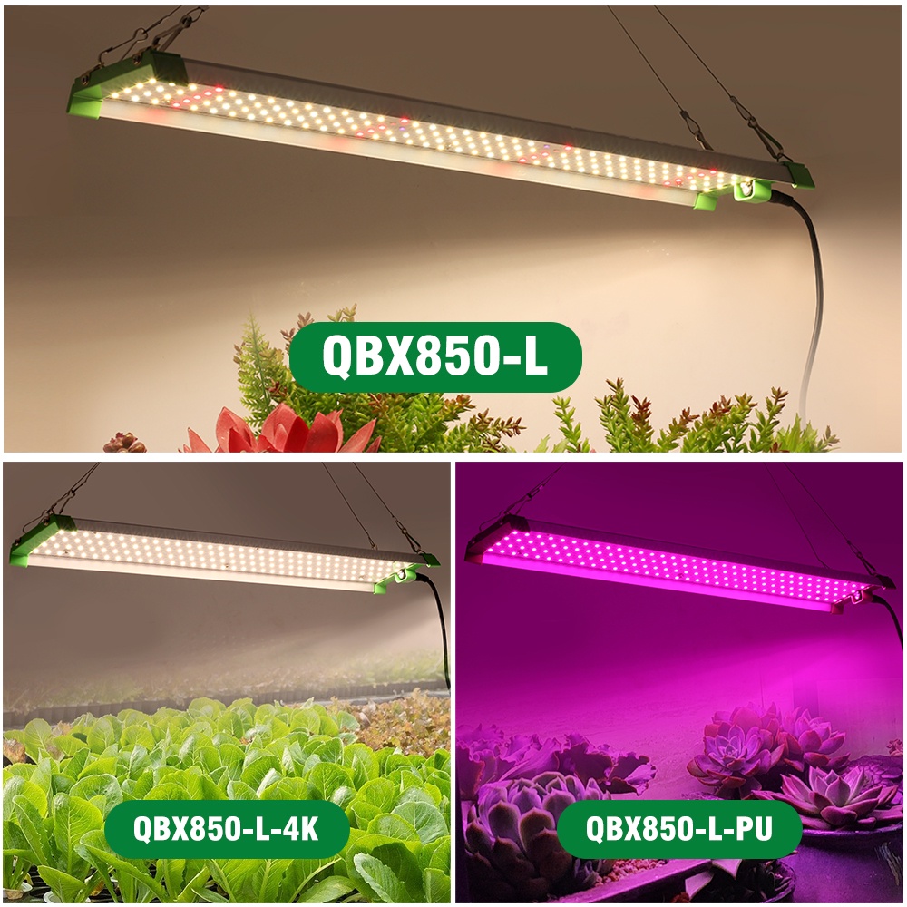 Đèn LED 85W Kích Thích Tăng Trưởng Cho Cây Thủy Canh Samsung LM281B