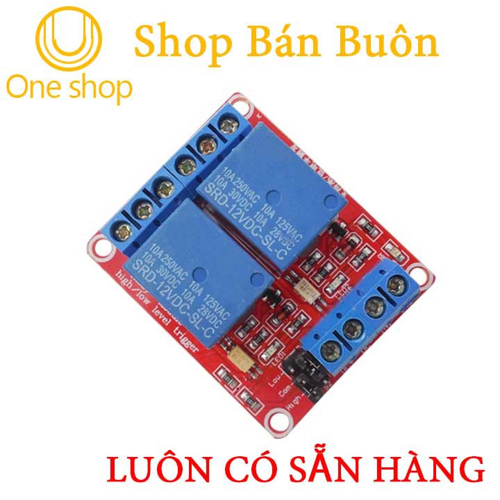 MODULE Relay 2 Kênh 12VDC H/L