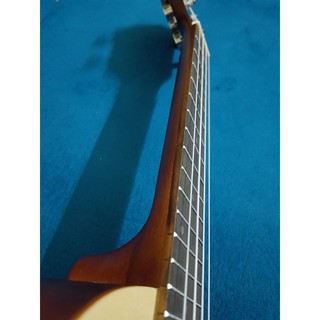 Đàn ukulele Concert