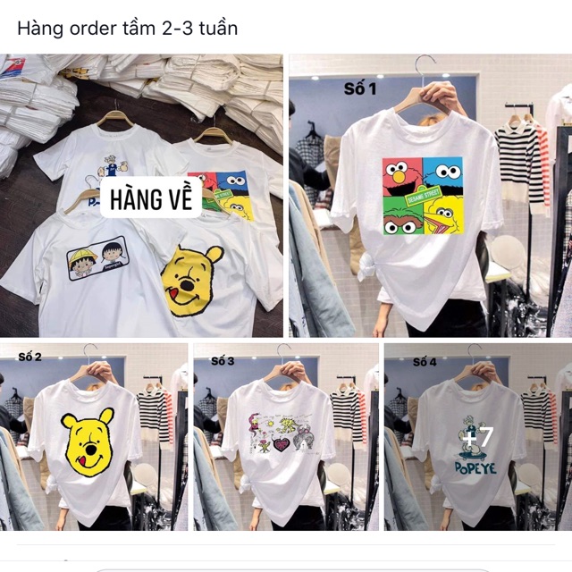 2 áo phông kute (thao my)