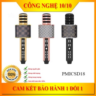 Mic karaoke bluetooth sd18 kèm loa cao cấp