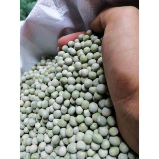Sỉ 5kg đậu hà lan Ấn Độ Gnomo