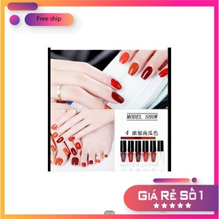 Combo 6 lọ nước sơn móng tay QN