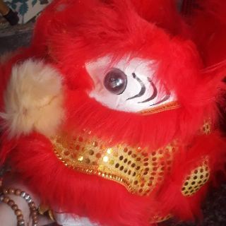 Đầu sư tử lông dài có đèn