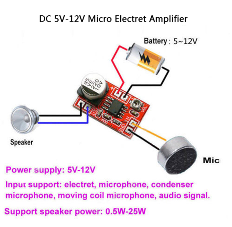 Bảng Mạch Khuếch Đại Âm Thanh Micro Mini Dc 5v-12v