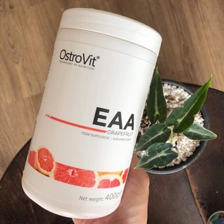 OstroVit EAA Tăng Cơ Phục Hồi Cơ Bắp 400g