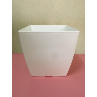 Chậu nhựa vuông size 20cm