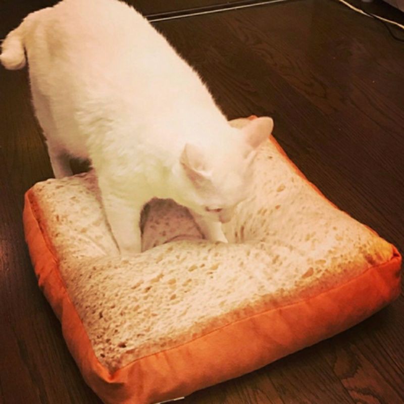 ổ nệm hình bánh mì cho chó mèo có khóa kéo (màu ngẫu nhiên)