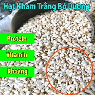 500g Hạt Kham Trắng Thức Ăn Cho Chim-Gà-Hamster-Rat-Đuôi Mập