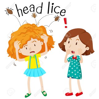 Newgi C Dầu gội trị chấy, trị chí ✅(Chính Hãng 100%)