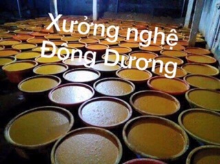 tinh bột nghệ Đông Dương